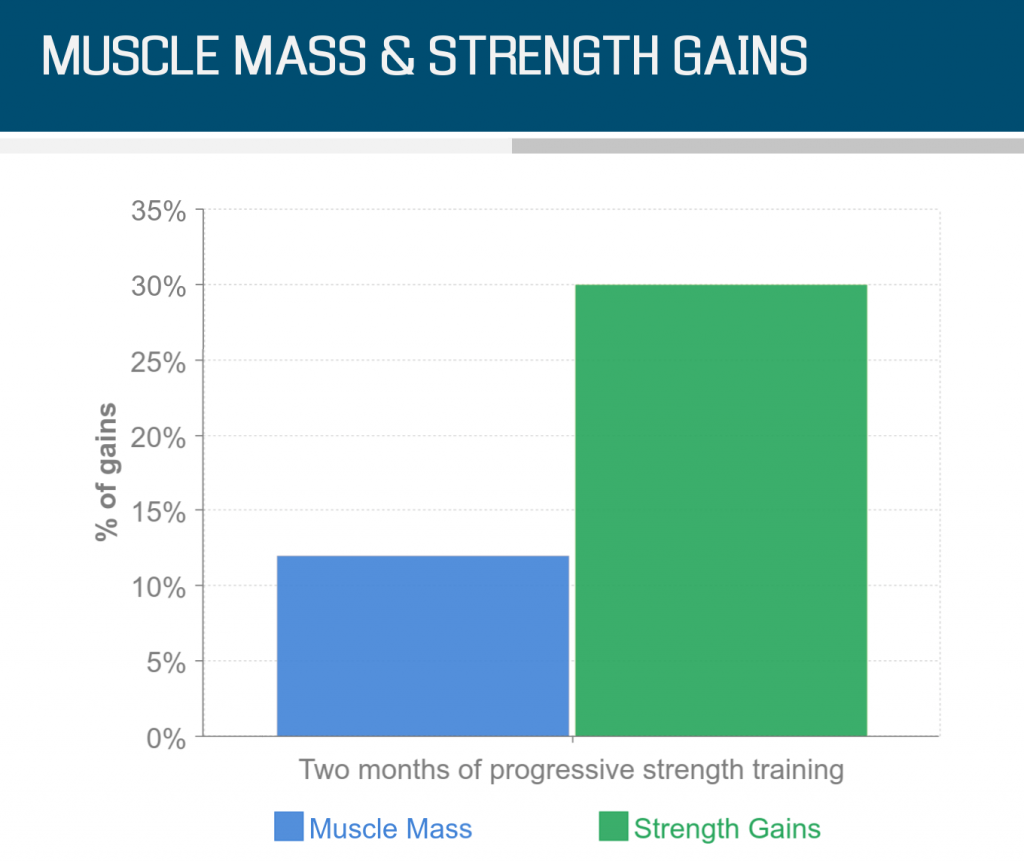MUSCLE MASS STRENGTH GAINS